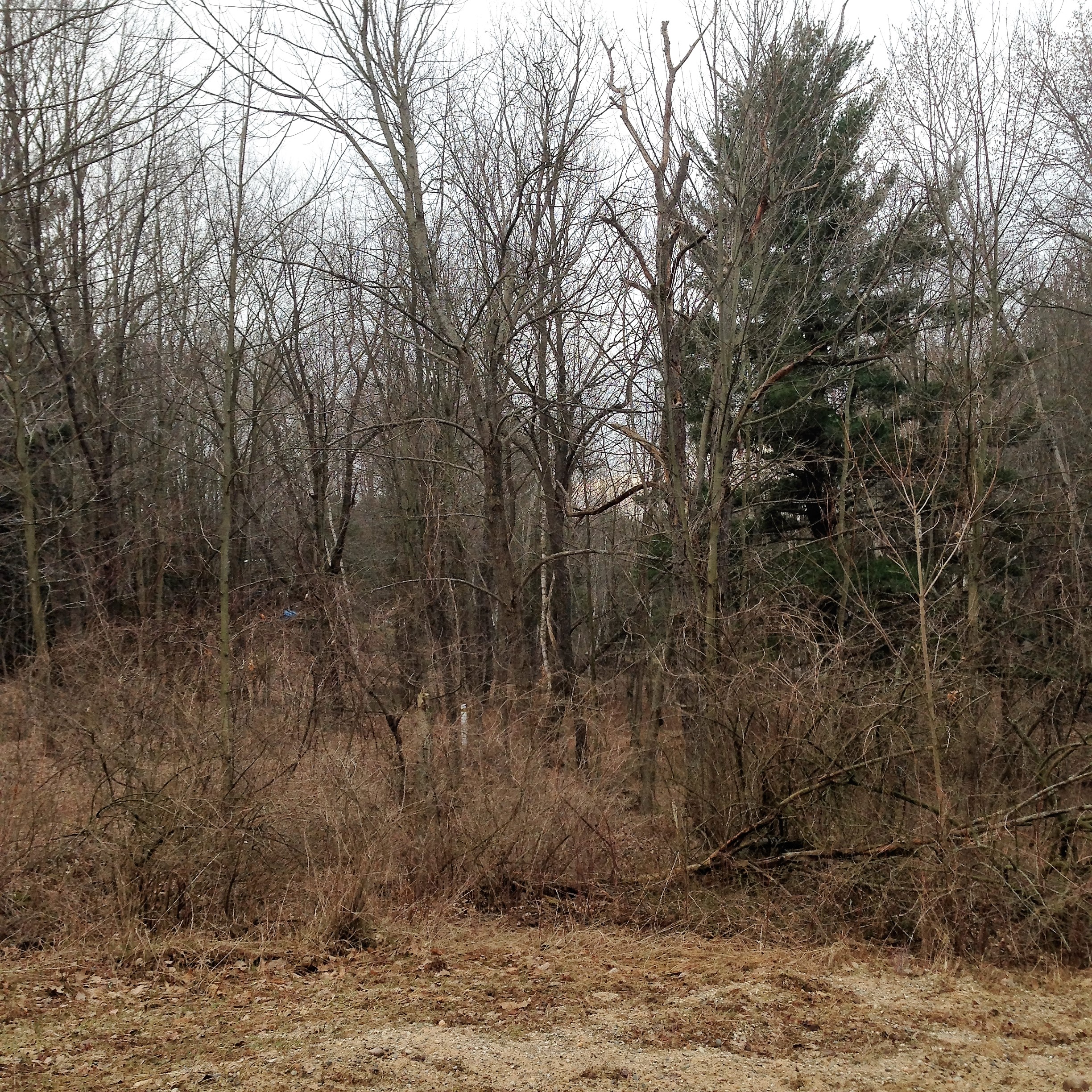 Lakefront ListingsPage 2 Britz Realty, Inc.